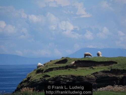 Around Downpatrick Head